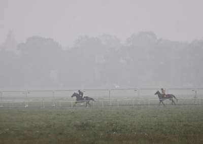 Chcecie oglądać takie imprezy na Błoniach? Kolejna petycja - zdjęcie 11