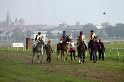 Chcecie oglądać takie imprezy na Błoniach? Kolejna petycja - zdjęcie 16