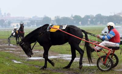 Chcecie oglądać takie imprezy na Błoniach? Kolejna petycja - zdjęcie 1