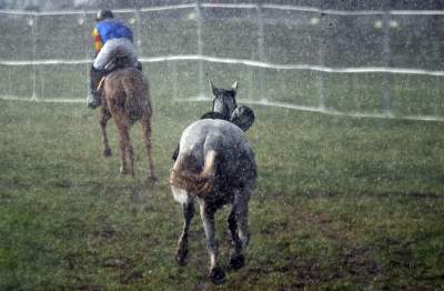 Chcecie oglądać takie imprezy na Błoniach? Kolejna petycja - zdjęcie 9