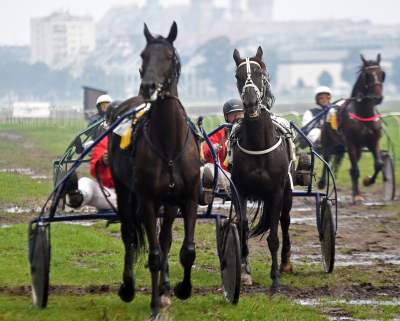 Chcecie oglądać takie imprezy na Błoniach? Kolejna petycja - zdjęcie 4