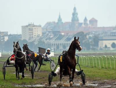 Chcecie oglądać takie imprezy na Błoniach? Kolejna petycja - zdjęcie 2