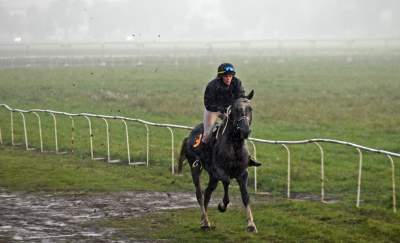 Chcecie oglądać takie imprezy na Błoniach? Kolejna petycja - zdjęcie 13