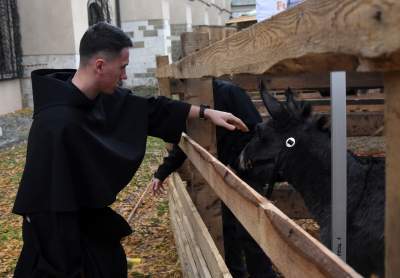 Proste, żywe i z rozmachem. Która szopka najciekawsza? - zdjęcie 14