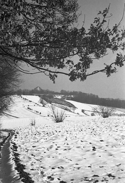 "Białe szaleństwo" na krakowskich stokach... - zdjęcie 3