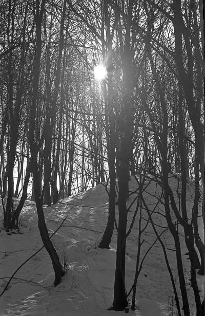 "Białe szaleństwo" na krakowskich stokach... - zdjęcie 13