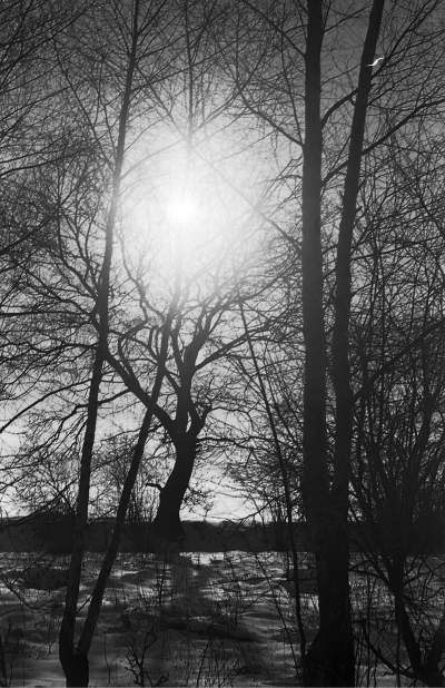 "Białe szaleństwo" na krakowskich stokach... - zdjęcie 15