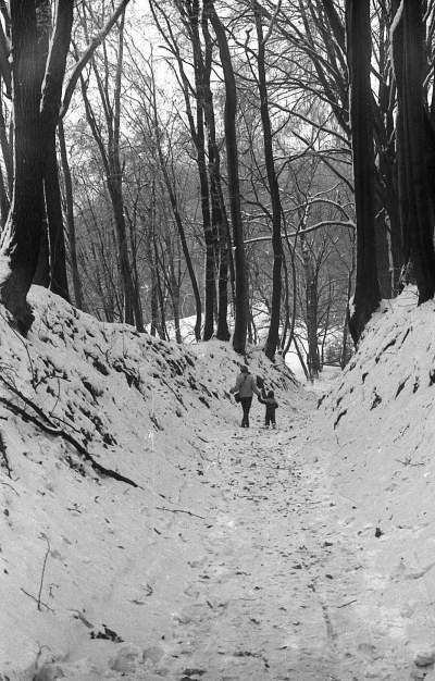 "Białe szaleństwo" na krakowskich stokach... - zdjęcie 16
