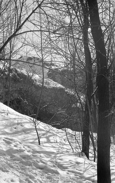 "Białe szaleństwo" na krakowskich stokach... - zdjęcie 11