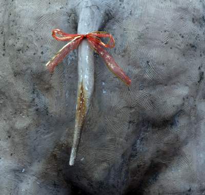 Tysiące krakowian na ulicach, jeden z królów z... Dalekiego Wschodu - zdjęcie 12