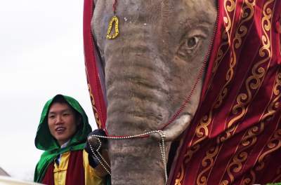 Tysiące krakowian na ulicach, jeden z królów z... Dalekiego Wschodu - zdjęcie 13