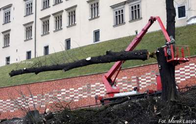 Stronniczy wybór zdjęć roku 2019, część pierwsza - zdjęcie 14