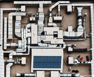 Dziwnych zdarzeń nie brakowało, stronniczy wybór zdjęć roku (2) - zdjęcie 10