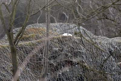 Zakrzówek w przebudowie.. - zdjęcie 29