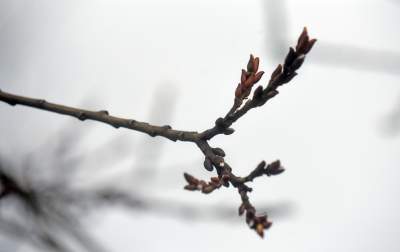 Zakrzówek w przebudowie.. - zdjęcie 7