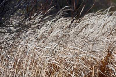 Zakrzówek w przebudowie.. - zdjęcie 20