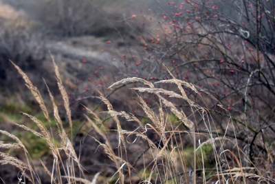 Zakrzówek w przebudowie.. - zdjęcie 23