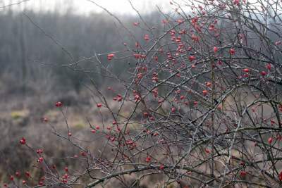 Zakrzówek w przebudowie.. - zdjęcie 24