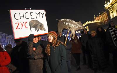 Chcą zakazu polowań w Krakowie... - zdjęcie 4