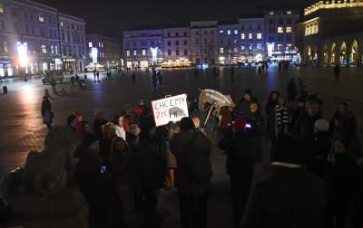 Chcą zakazu polowań w Krakowie... - zdjęcie 5