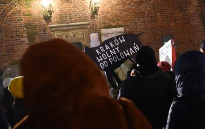 Chcą zakazu polowań w Krakowie... - zdjęcie 7