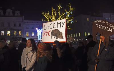 Chcą zakazu polowań w Krakowie... - zdjęcie 2