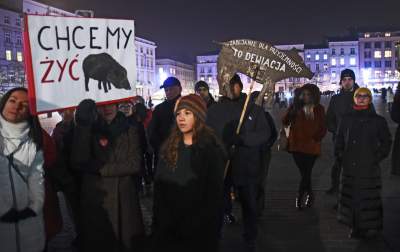 Chcą zakazu polowań w Krakowie... - zdjęcie 8