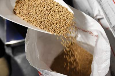 Startuje browar AGH: tysiące litrów do wypicia prosto z tanka - zdjęcie 27