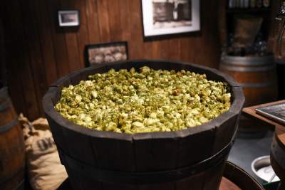 Startuje browar AGH: tysiące litrów do wypicia prosto z tanka - zdjęcie 36