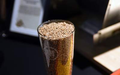 Startuje browar AGH: tysiące litrów do wypicia prosto z tanka - zdjęcie 33