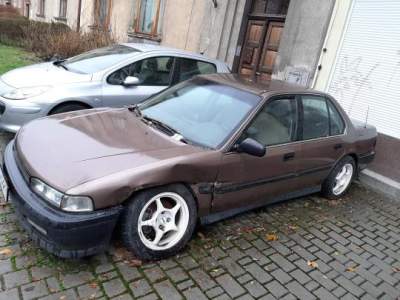 Znalezione na krakowskich ulicach, ktoś się po nie zgłosi? - zdjęcie 8