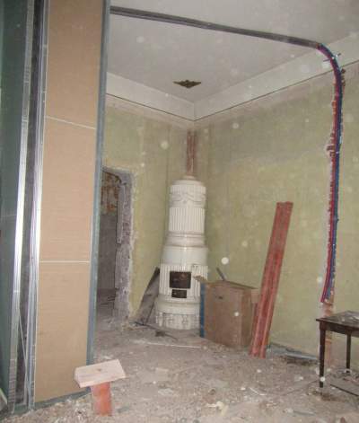 Barbarzyńca w pałacu: konserwator zabytków interweniuje - zdjęcie 4