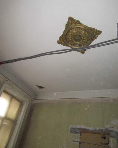 Barbarzyńca w pałacu: konserwator zabytków interweniuje - zdjęcie 2