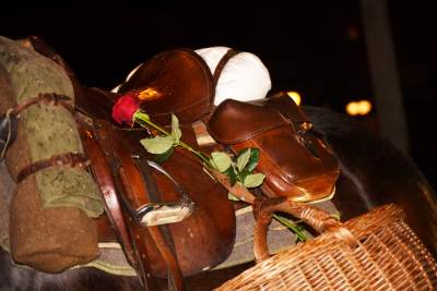 Gościem specjalnym na tym balu był... koń, wznieśli za niego toast - zdjęcie 10