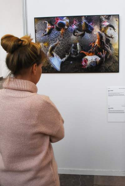 Najlepsze zdjęcia na świecie do zobaczenia w Nowej Hucie - zdjęcie 5