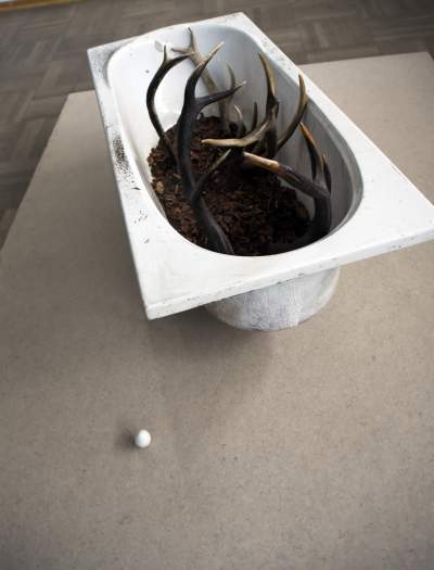 Co mamy tu, na naszej planecie, do zrobienia? - zdjęcie 17