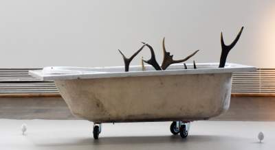 Co mamy tu, na naszej planecie, do zrobienia? - zdjęcie 27