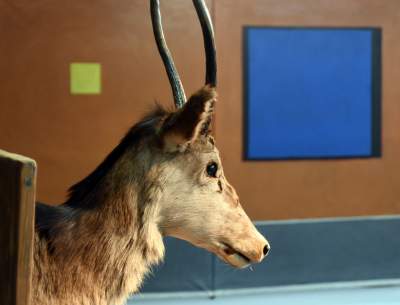 Co mamy tu, na naszej planecie, do zrobienia? - zdjęcie 18