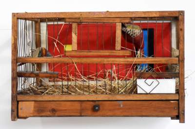 Co mamy tu, na naszej planecie, do zrobienia? - zdjęcie 23