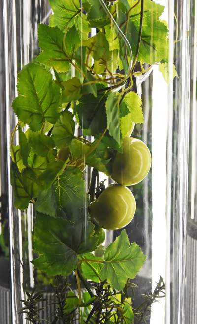 Koniecznie trzeba odwiedzić to miejsce, mamy na to rok - zdjęcie 3