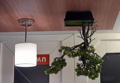 Koniecznie trzeba odwiedzić to miejsce, mamy na to rok - zdjęcie 1