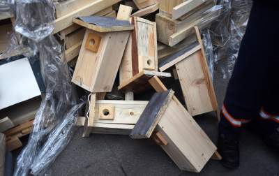 Walentynkowy przedmiot pożądania w Krakowie, rozdali tysiąc - zdjęcie 4