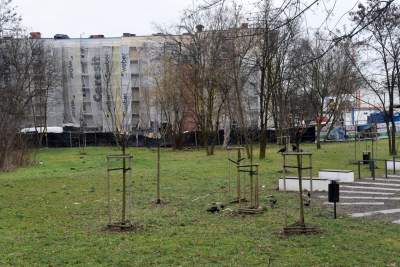 Odważna akcja dewelopera: zamieszkaj na pętli tramwajowej - zdjęcie 16
