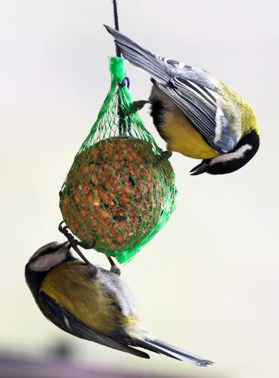 Jakby się ktoś pytał, to mamy w Krakowie środek zimy - zdjęcie 6