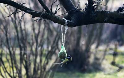 Jakby się ktoś pytał, to mamy w Krakowie środek zimy - zdjęcie 8