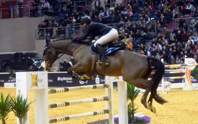 Jak spadać to z... pięknego konia. Wyjątkowa impreza - zdjęcie 15