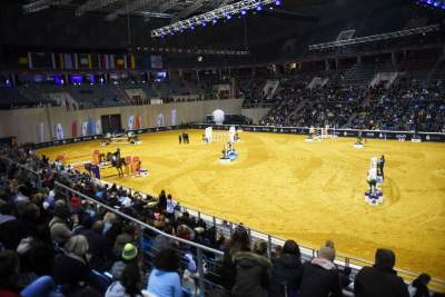 Jak spadać to z... pięknego konia. Wyjątkowa impreza - zdjęcie 14