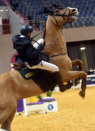 Jak spadać to z... pięknego konia. Wyjątkowa impreza - zdjęcie 1