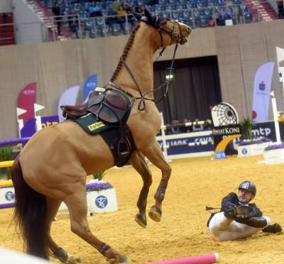 Jak spadać to z... pięknego konia. Wyjątkowa impreza - zdjęcie 6