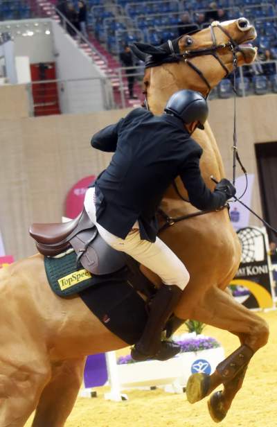 Jak spadać to z... pięknego konia. Wyjątkowa impreza - zdjęcie 2